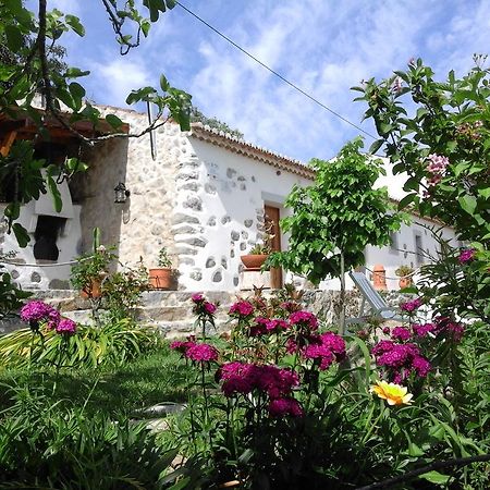 Quinta Do Tempo Turismo Rural Monchique Exterior photo