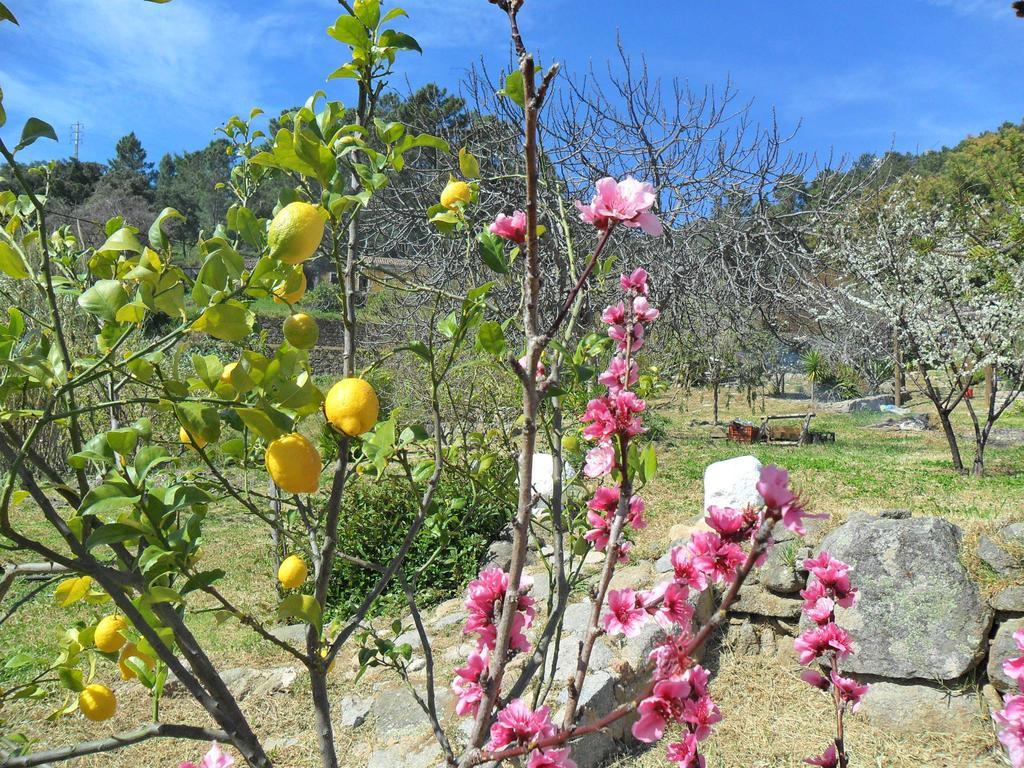 Quinta Do Tempo Turismo Rural Monchique Room photo