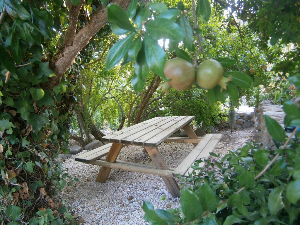 Quinta Do Tempo Turismo Rural Monchique Exterior photo